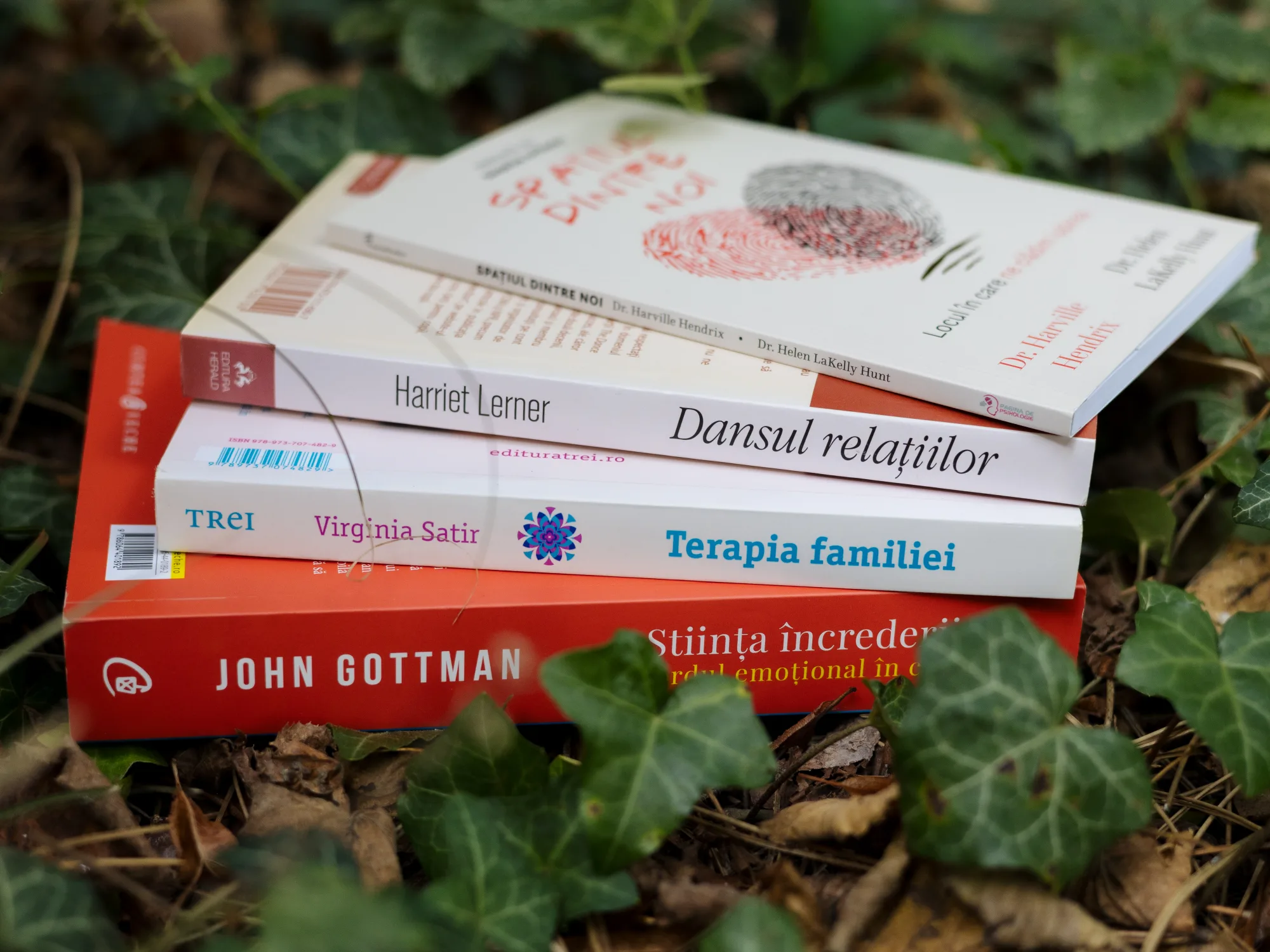 Cărți psihoterapie sistemică