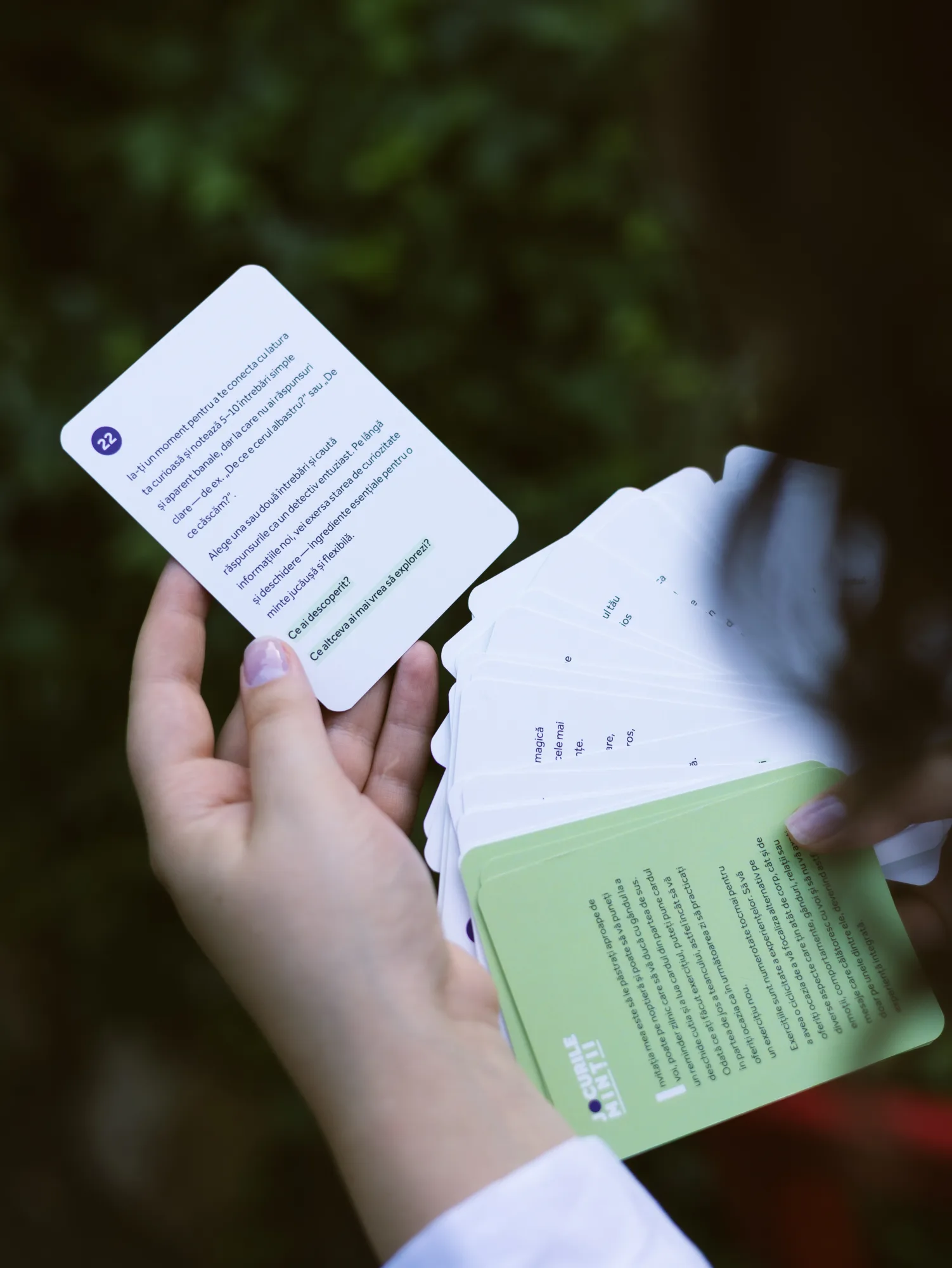 Setul de carduri Ludic